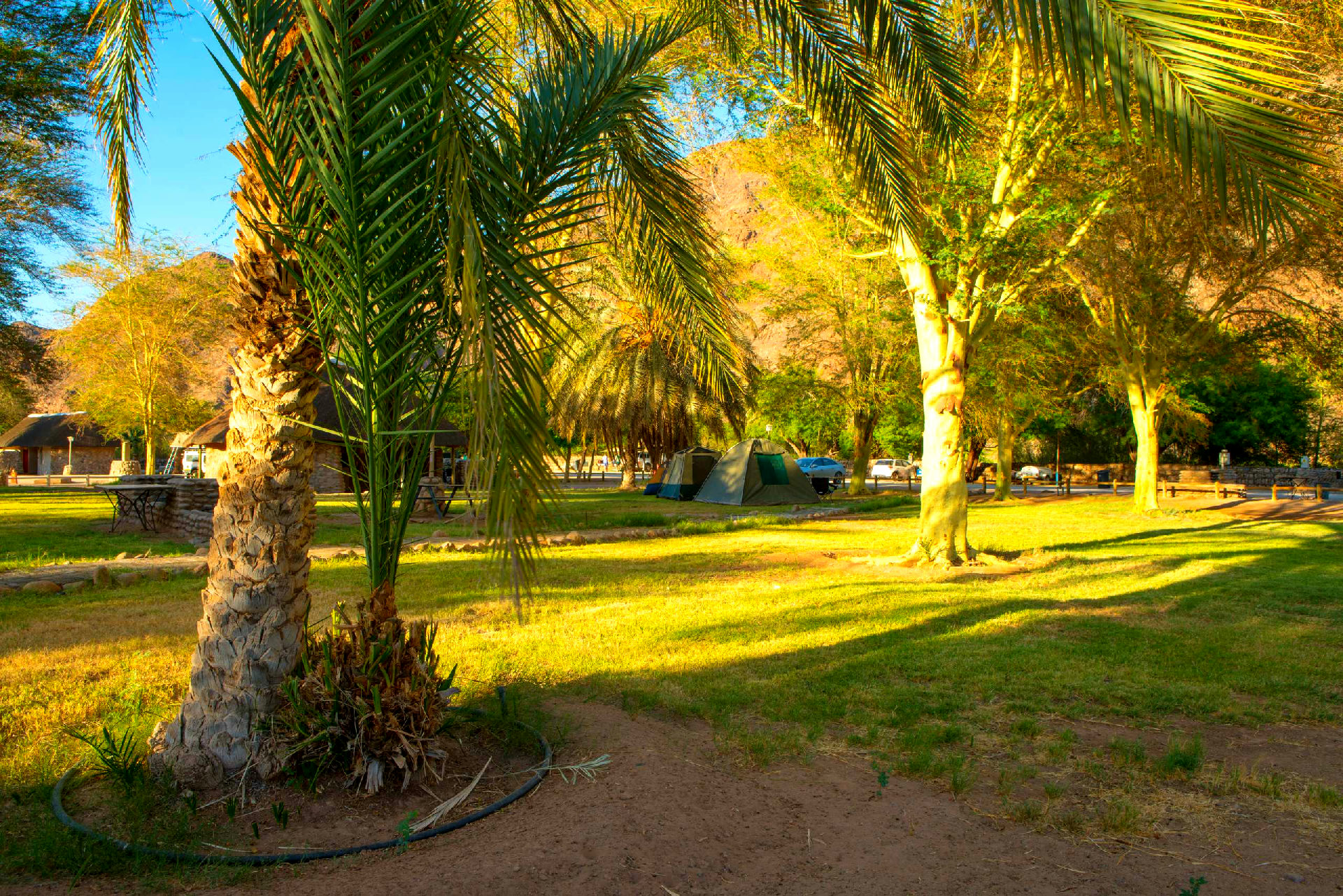 Campsite - 1