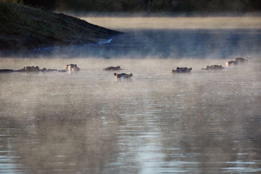 Arathusa Safari Lodge gallery