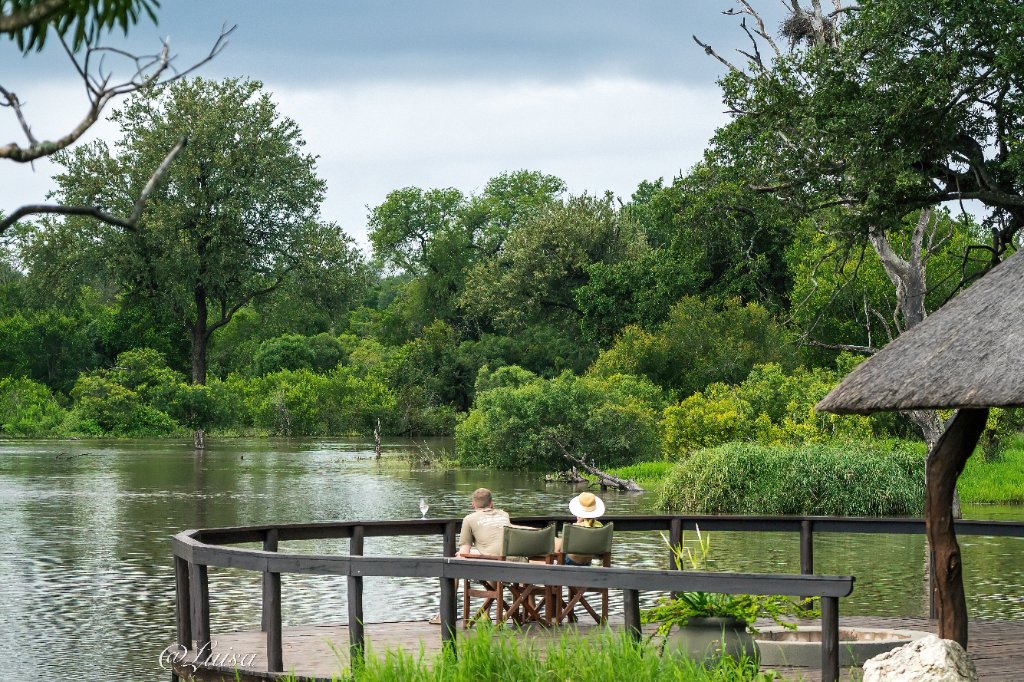 Arathusa Safari Lodge gallery