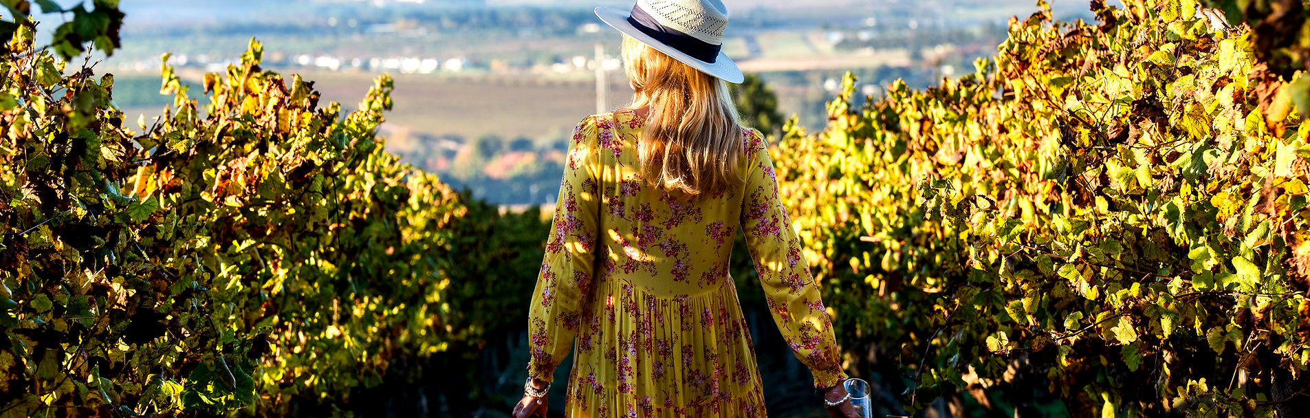 Asara Wine Estate & Hotel gallery