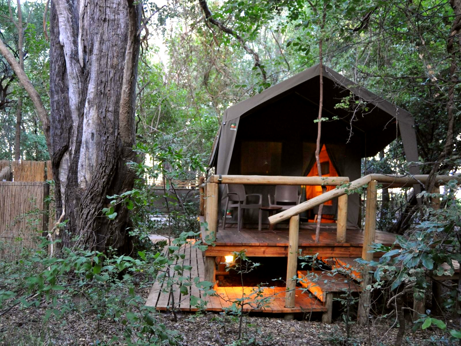 Forest Tent 1 - 1