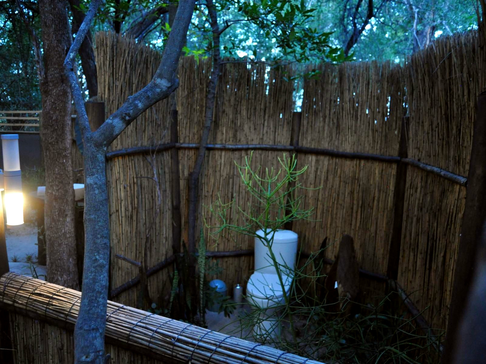 Forest Tent 2 - 1