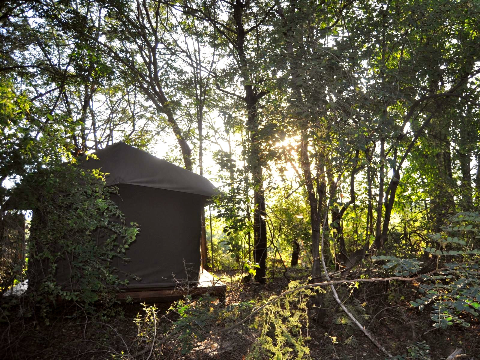 River Tent 3 - 1