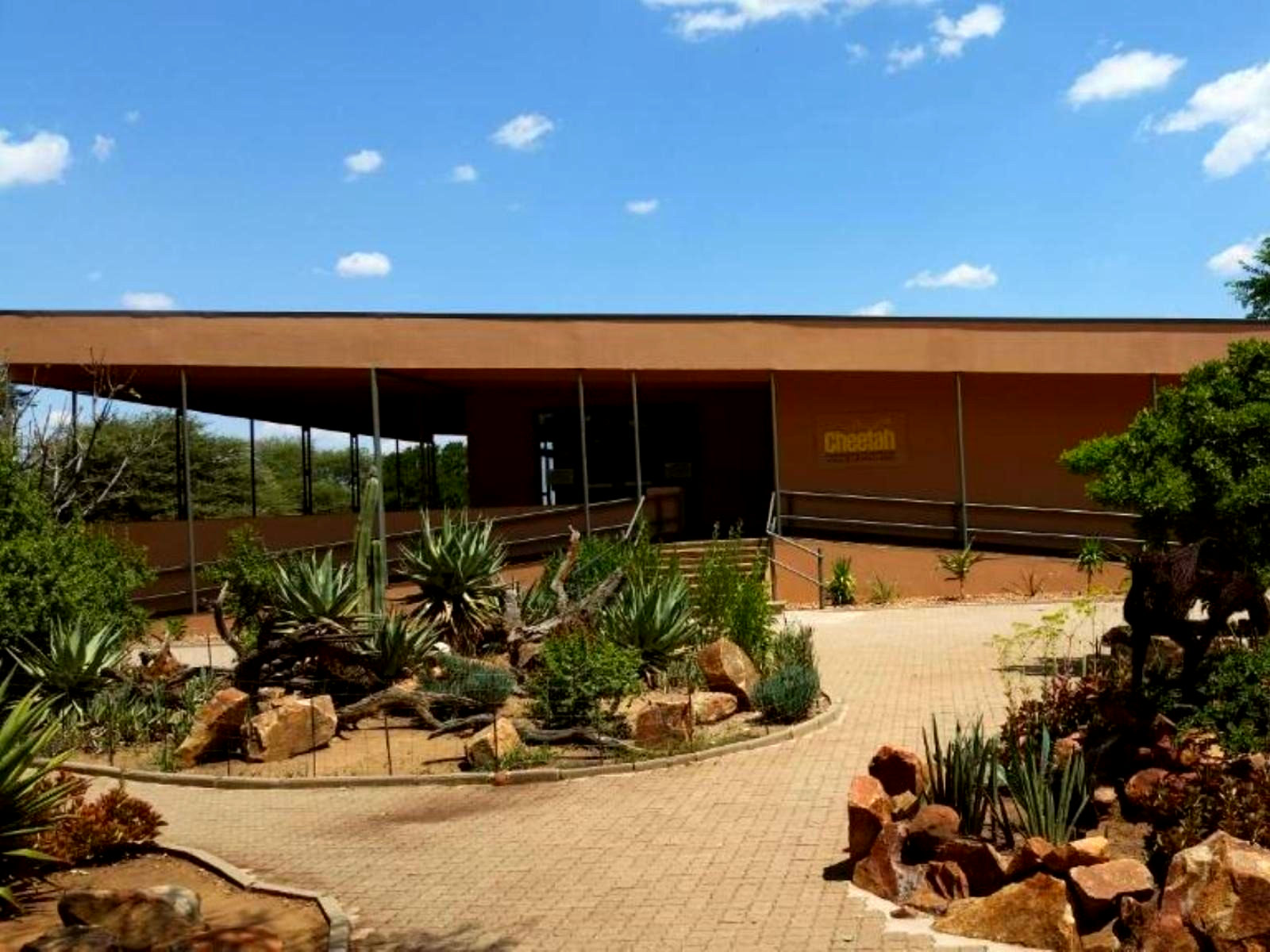 Babson House @ Cheetah Conservation Fund gallery
