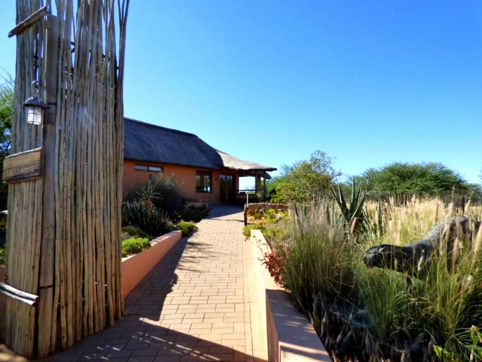 Babson House @ Cheetah Conservation Fund