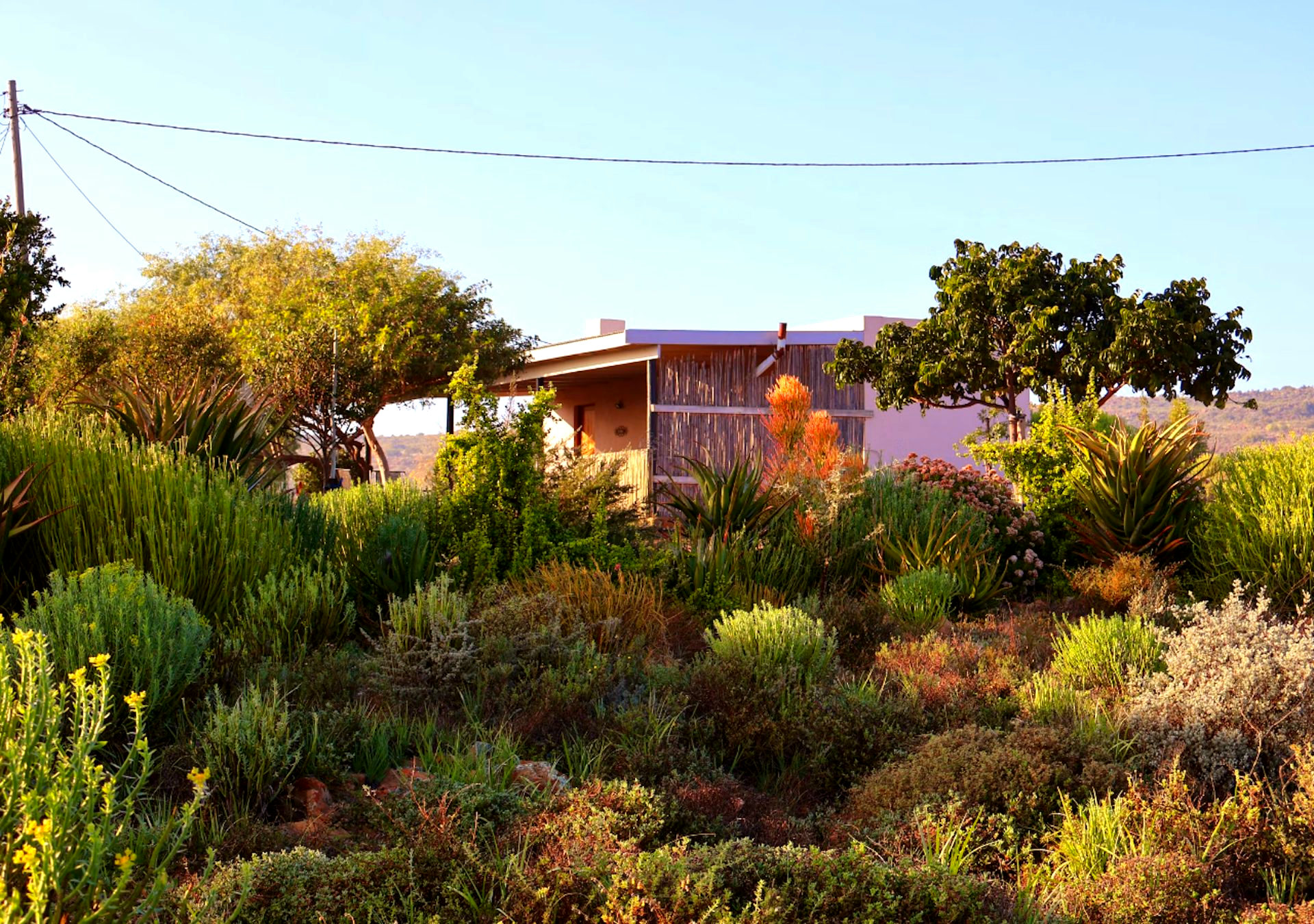 Bateleur Cottage gallery