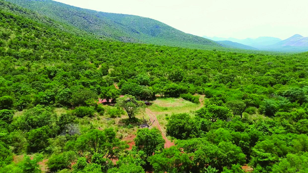 Camp Serengeti - Grootfontein Private Reserve gallery