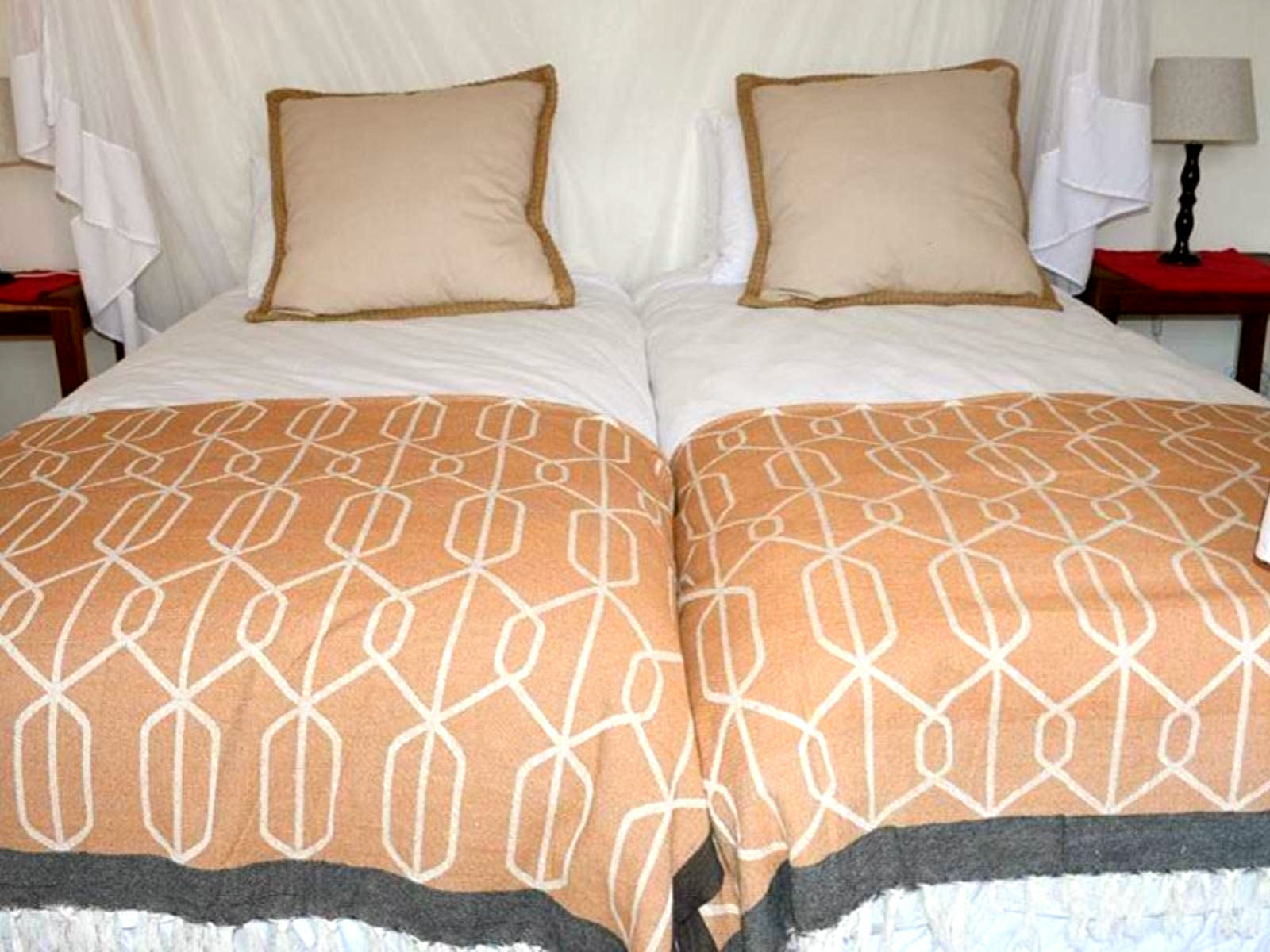 Twin Family Suite - 1