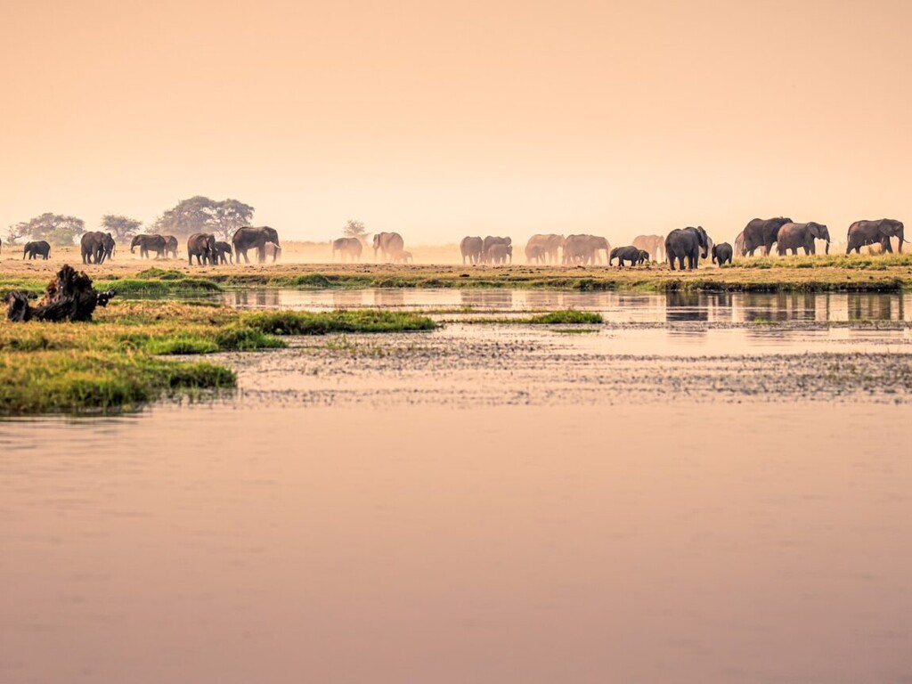 &Beyond Chobe Under Canvas gallery