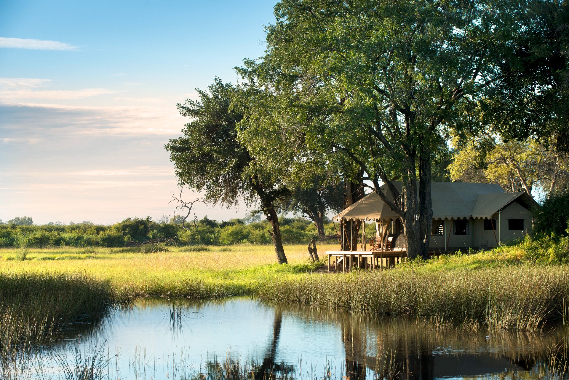 Safari Tent - 1