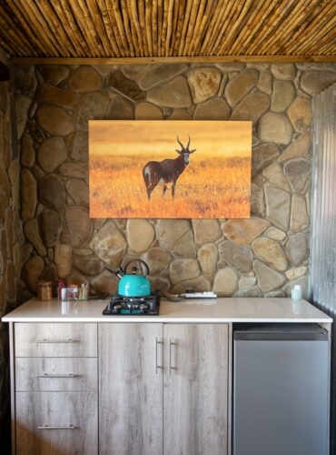 Elandskop Tankwa gallery