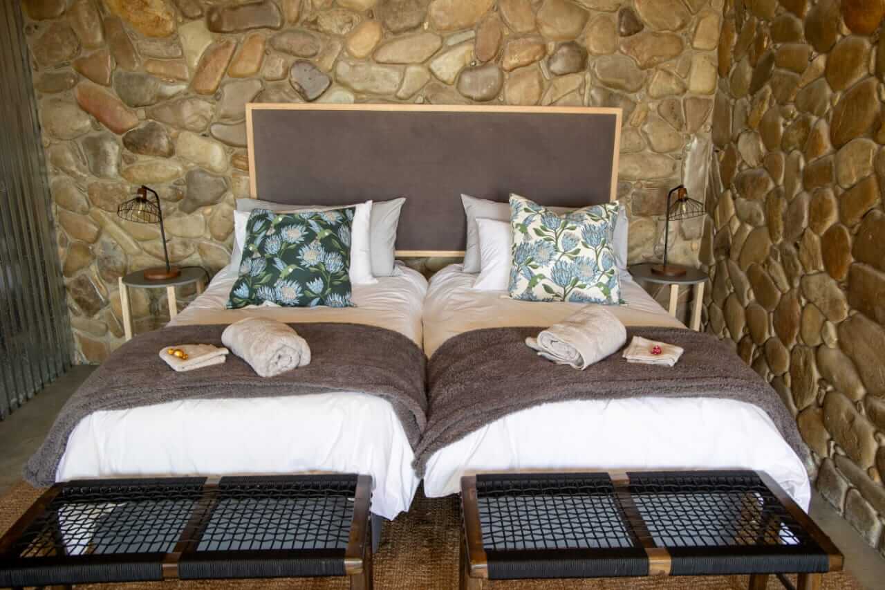 Twin / King Room - 1
