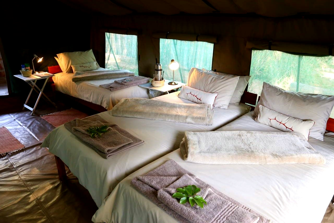 Family Tented Room - 1