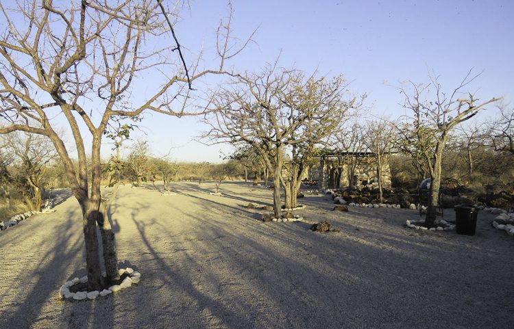 Etosha Village Campsites gallery