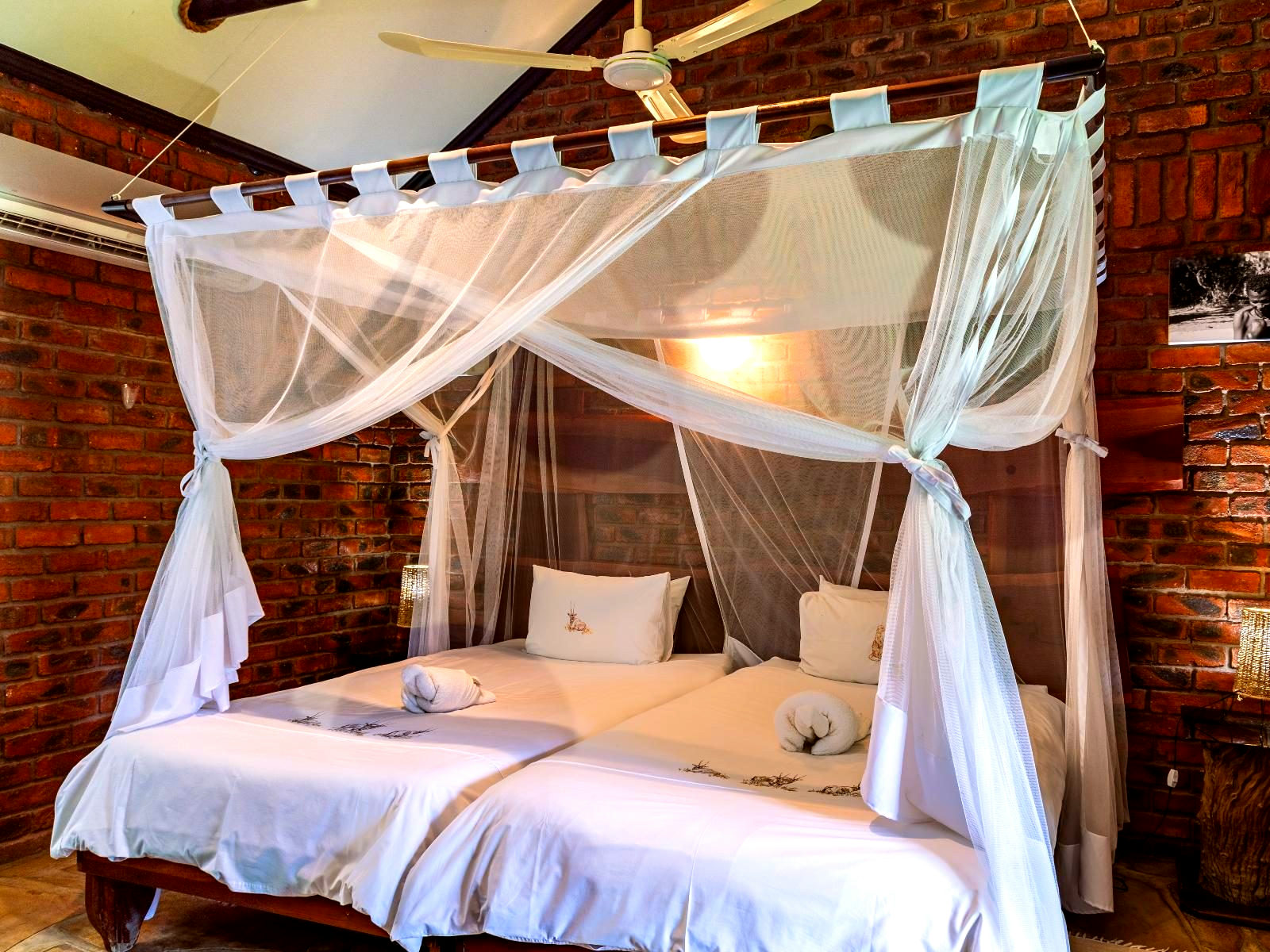 Standard Twin Room - 1