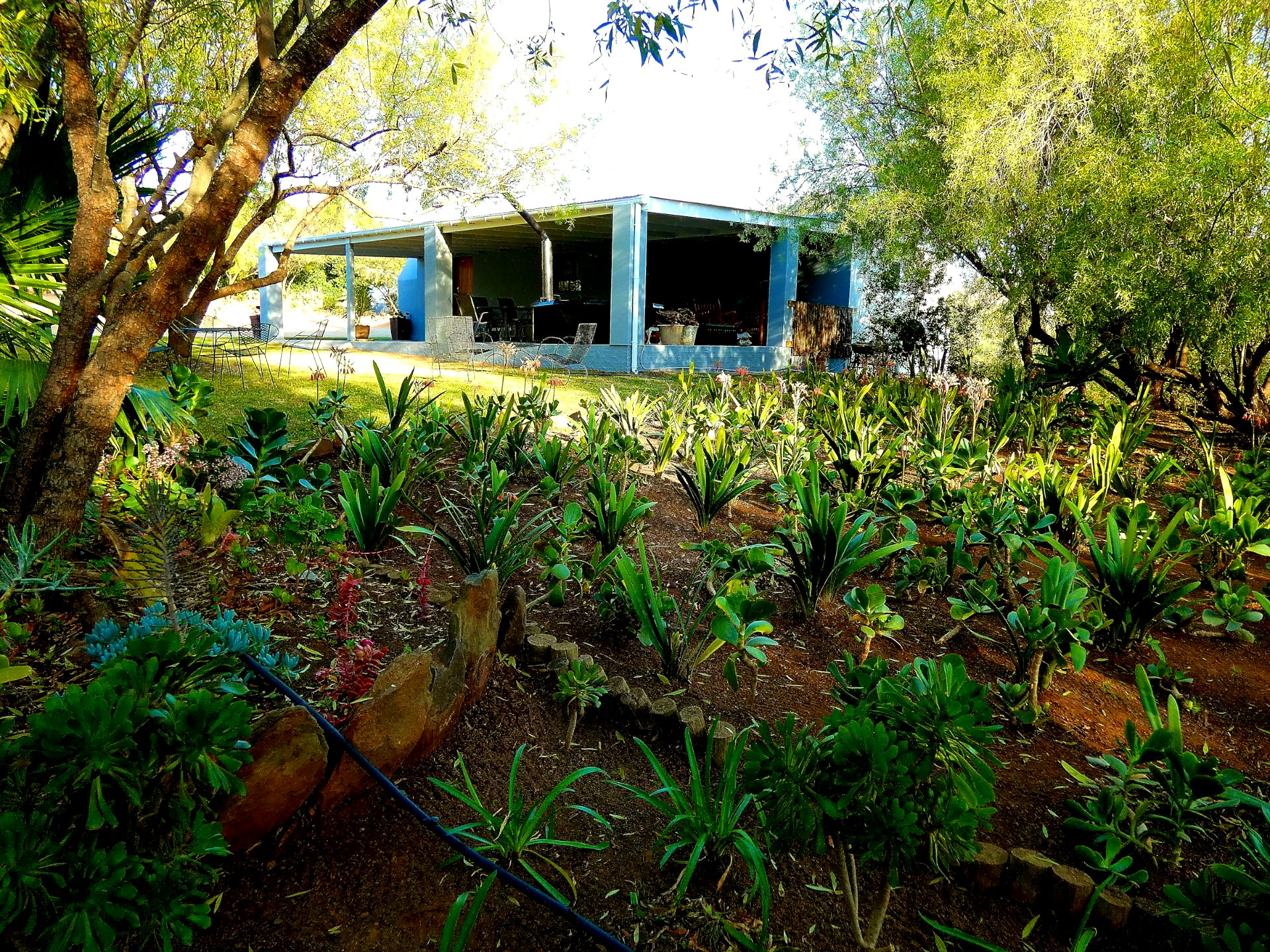 Flamingo Cottage