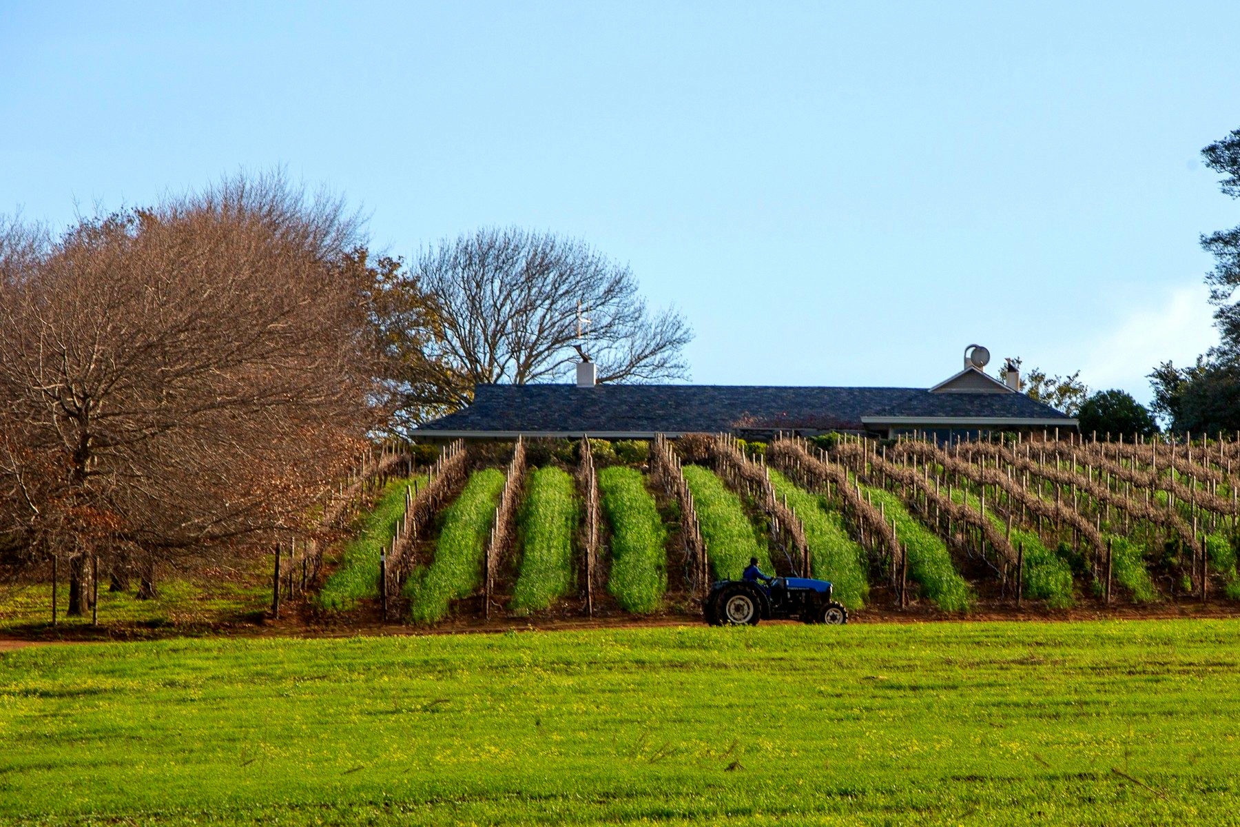 FransmansCottage - Farm Cottage