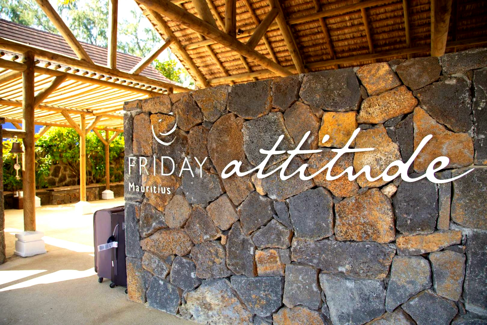 Friday Attitude gallery