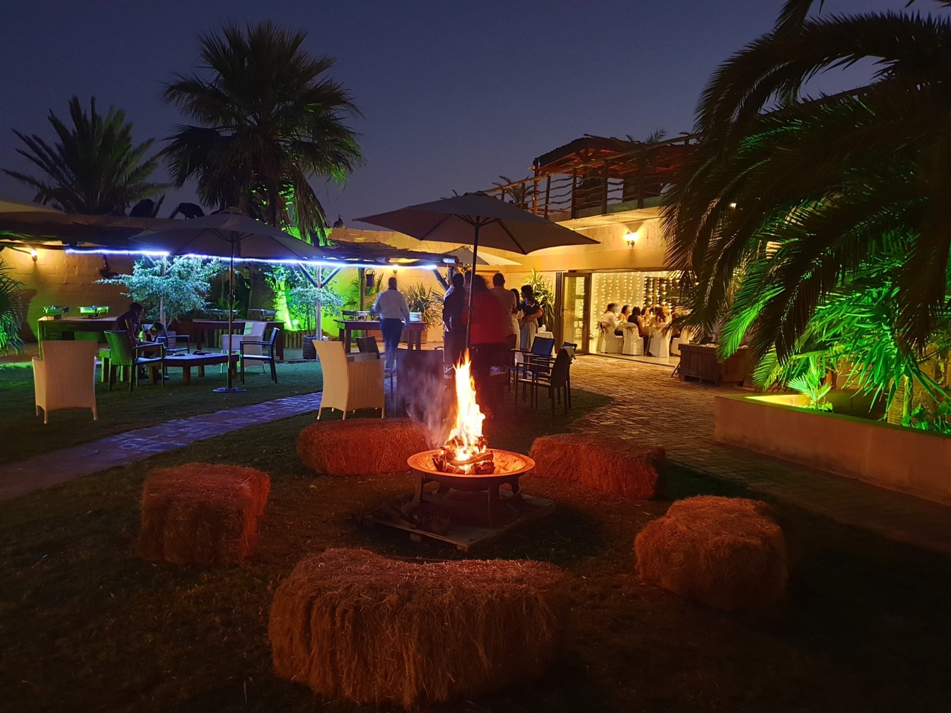 Gecko Ridge gallery