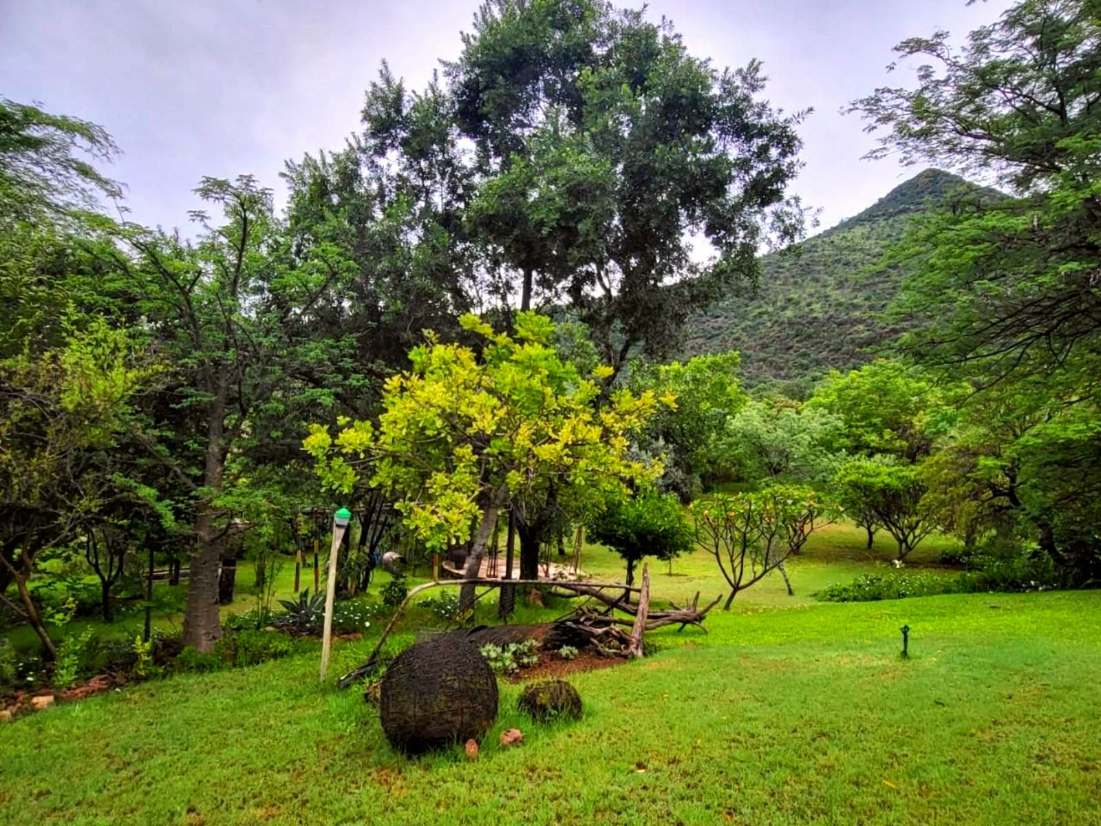 Hadassa Lodge gallery