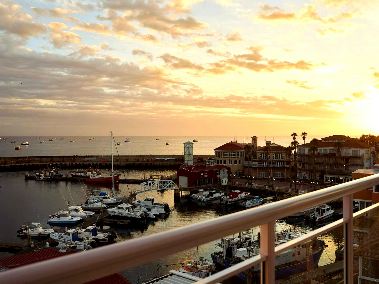 Harbour Club gallery