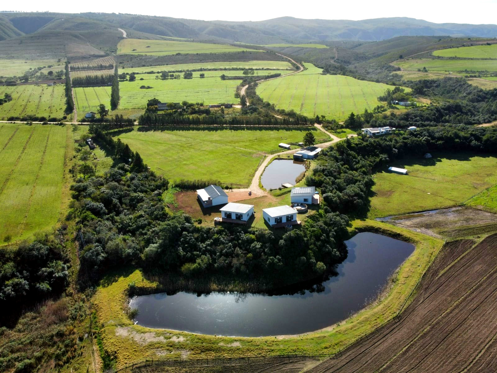 House on the Hill gallery