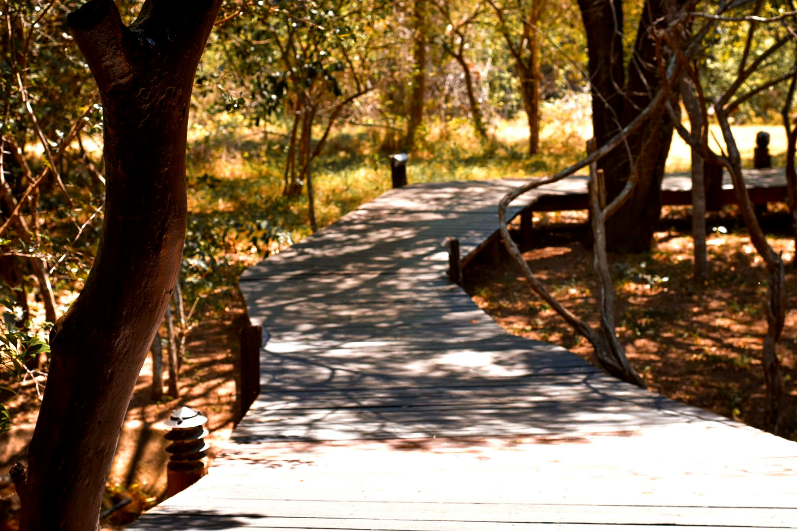 iHlozi Bush Lodge gallery