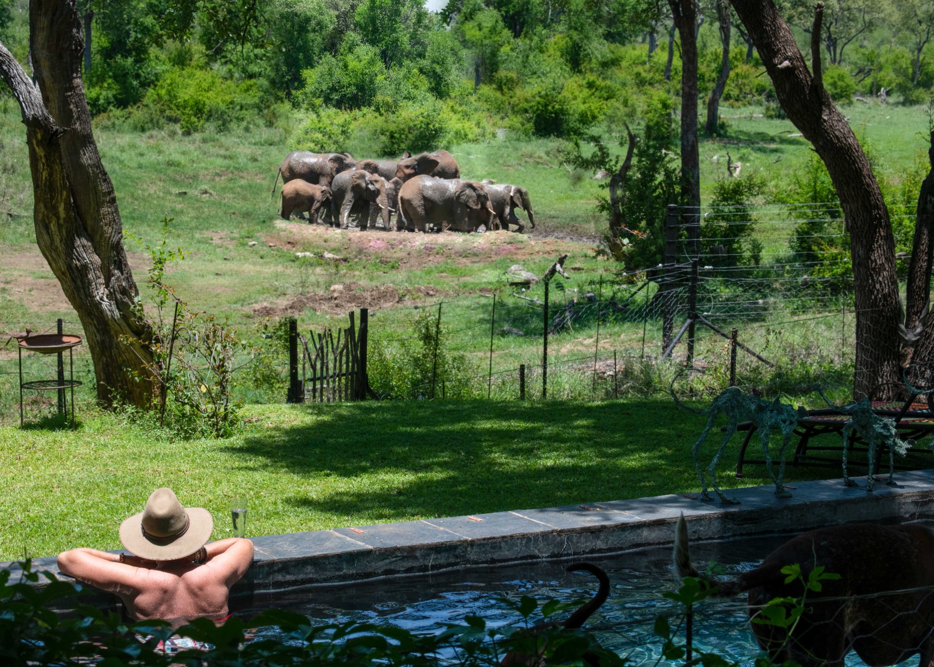 Jaci's Madikwe House - 1