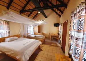 Standard Rooms - 1