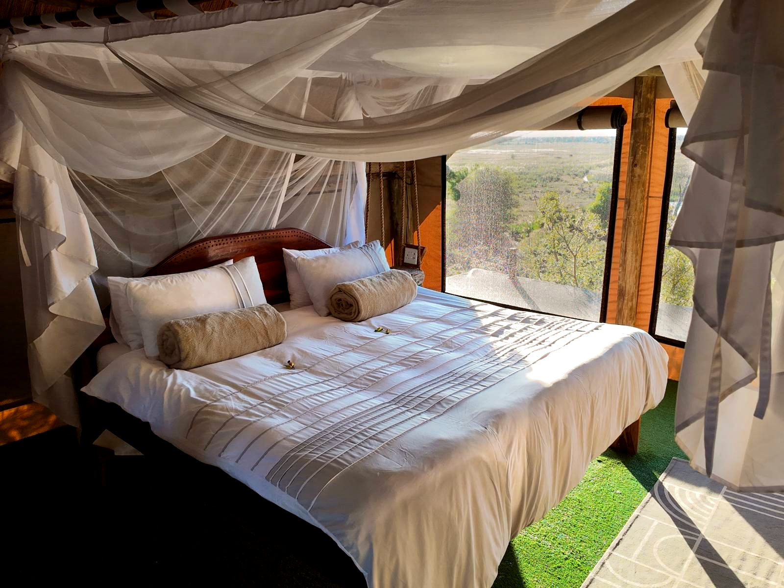 Treehouse - 1