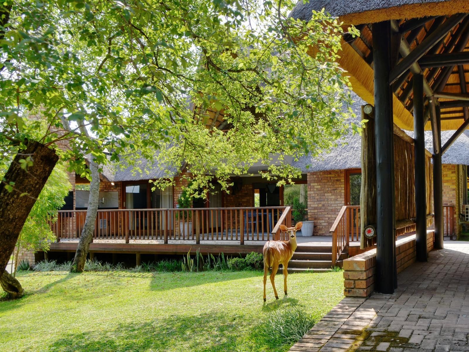 Kruger Park Lodge gallery