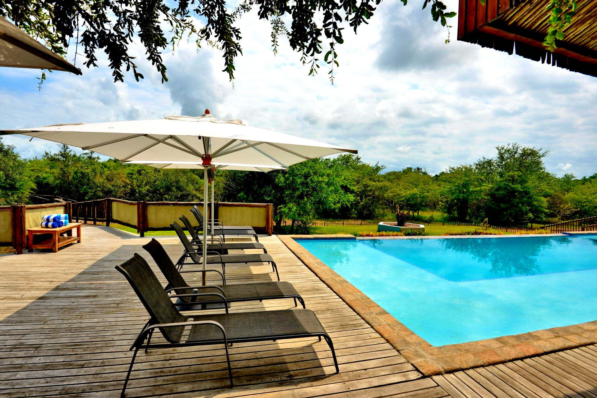 Kruger Safari Lodge gallery