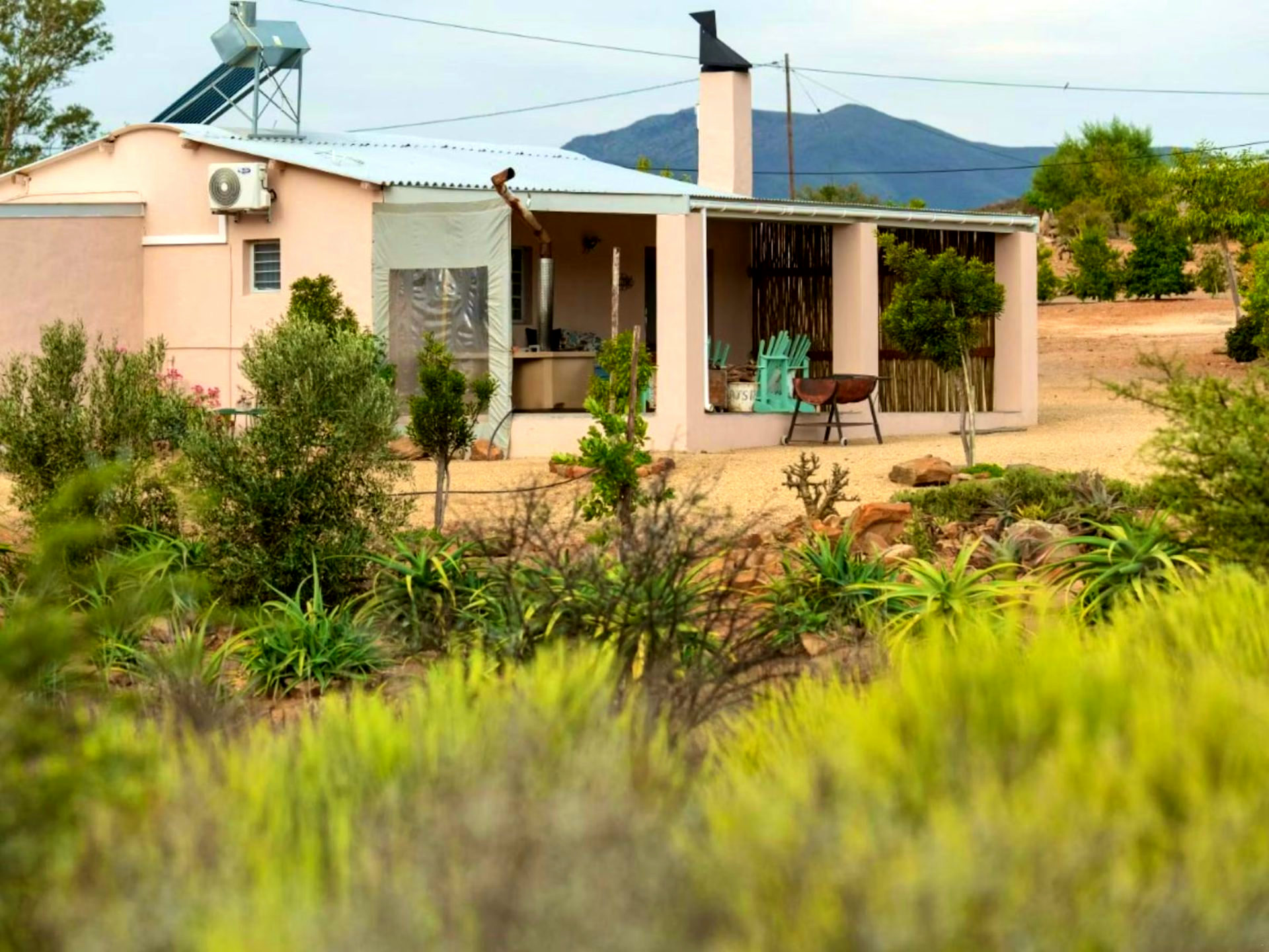 Lemon Tree Cottage gallery
