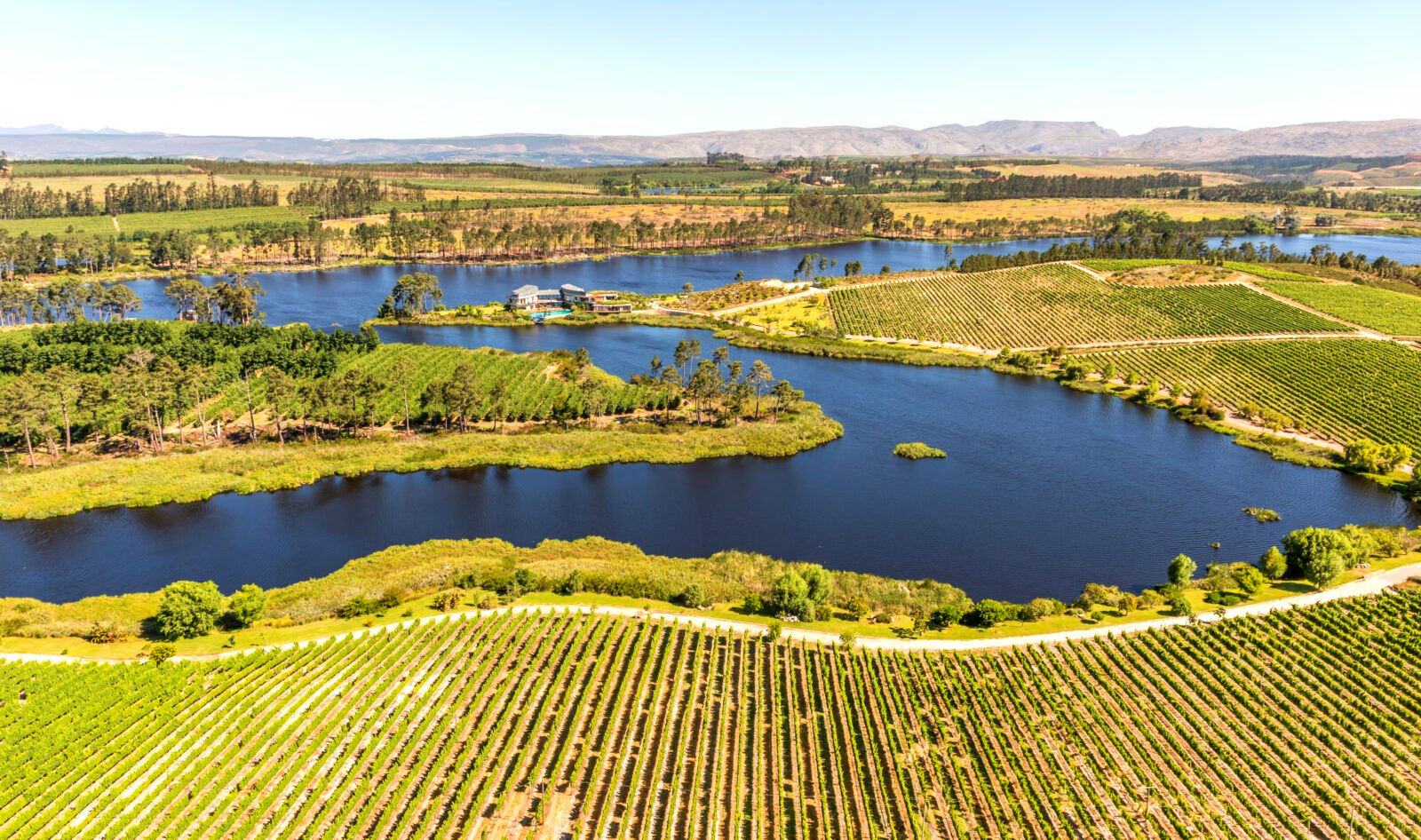 Lothian House & Vineyards gallery