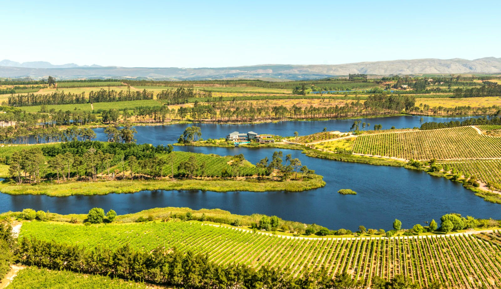 Lothian House & Vineyards gallery