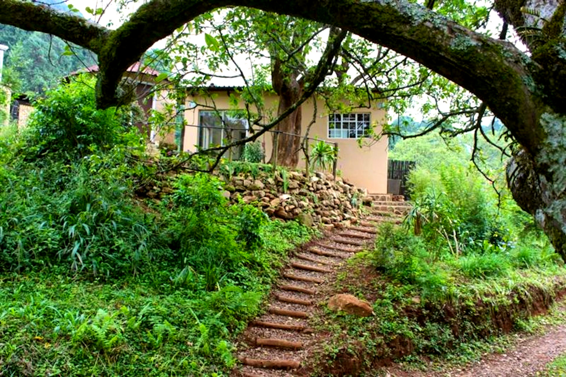 Magoebaskloof Birders' Cottages