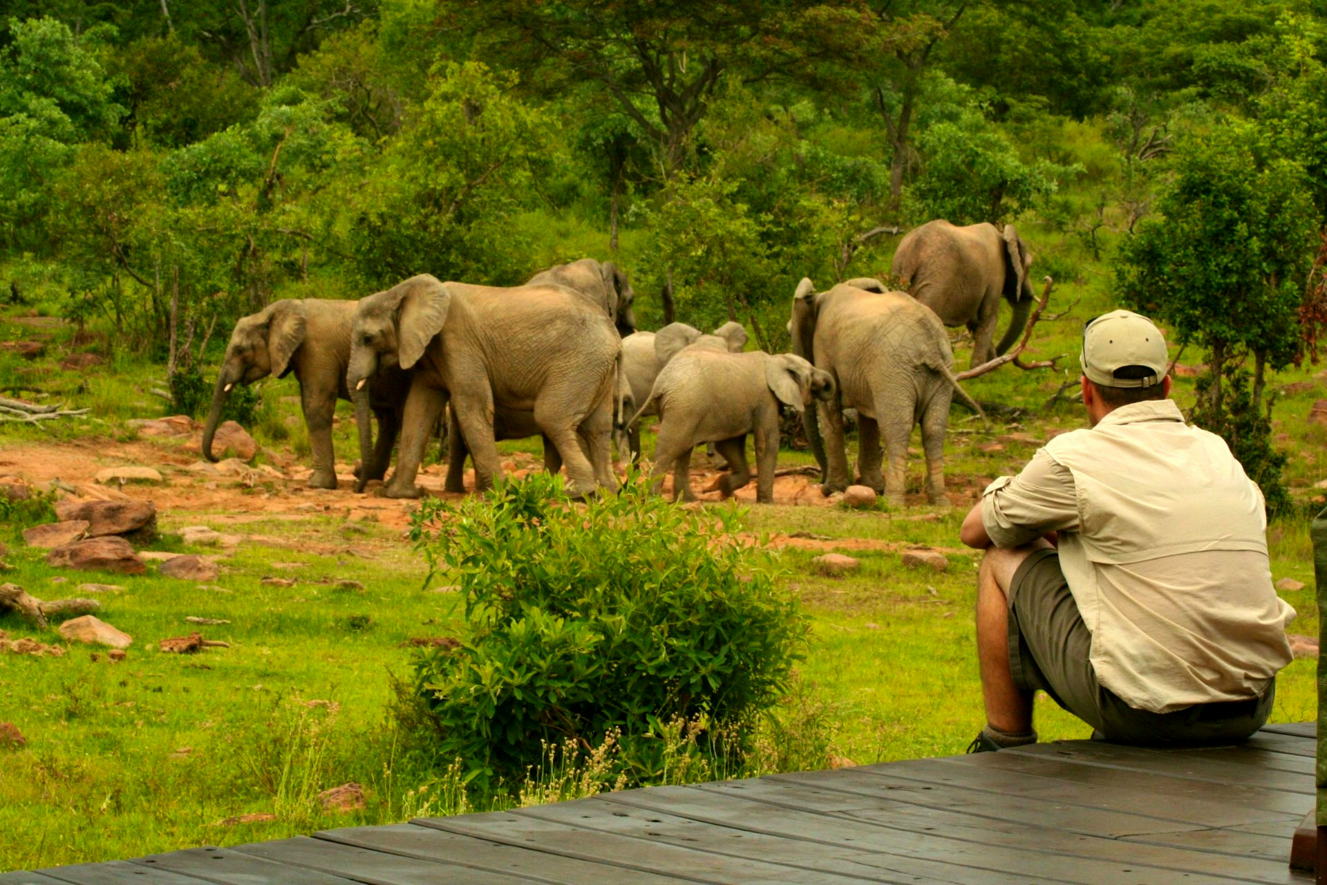 Makweti Safari Lodge gallery