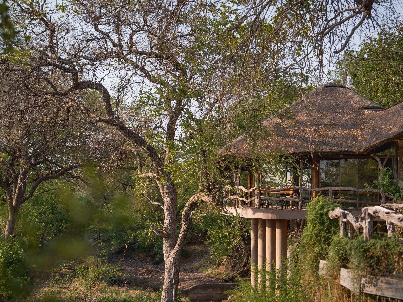 Mashatu Lodge gallery