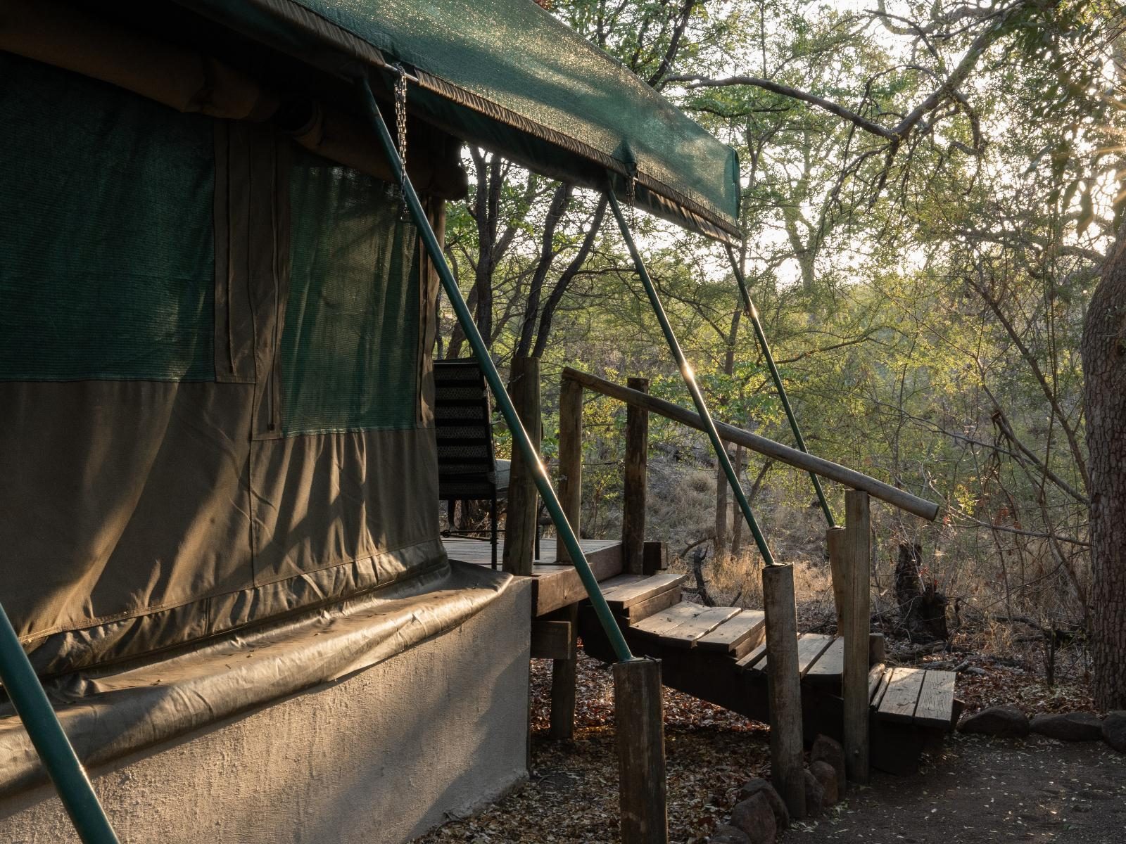 Luxury Safari Tent - 1