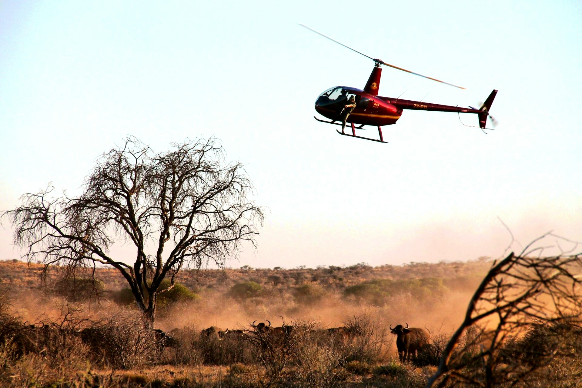 Mattanu Private Game Reserve gallery