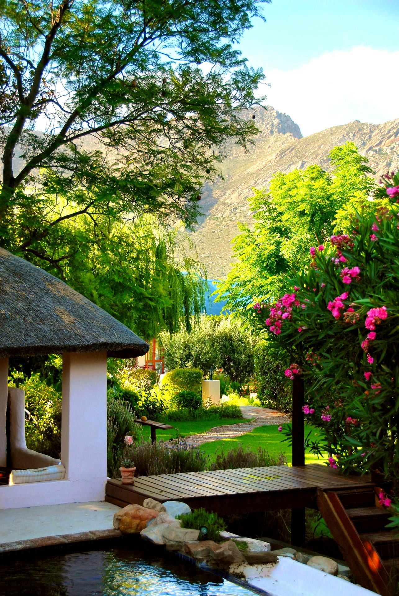 Mimosa Lodge gallery