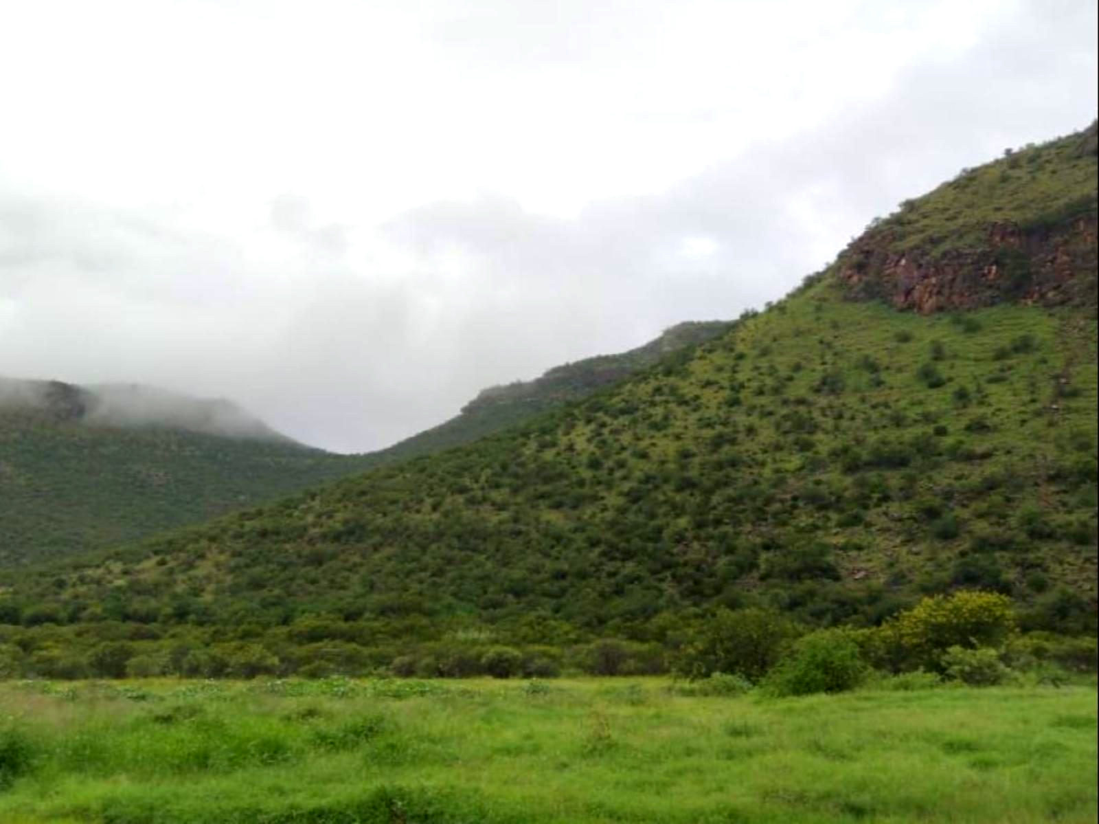 Mnembe Safari gallery