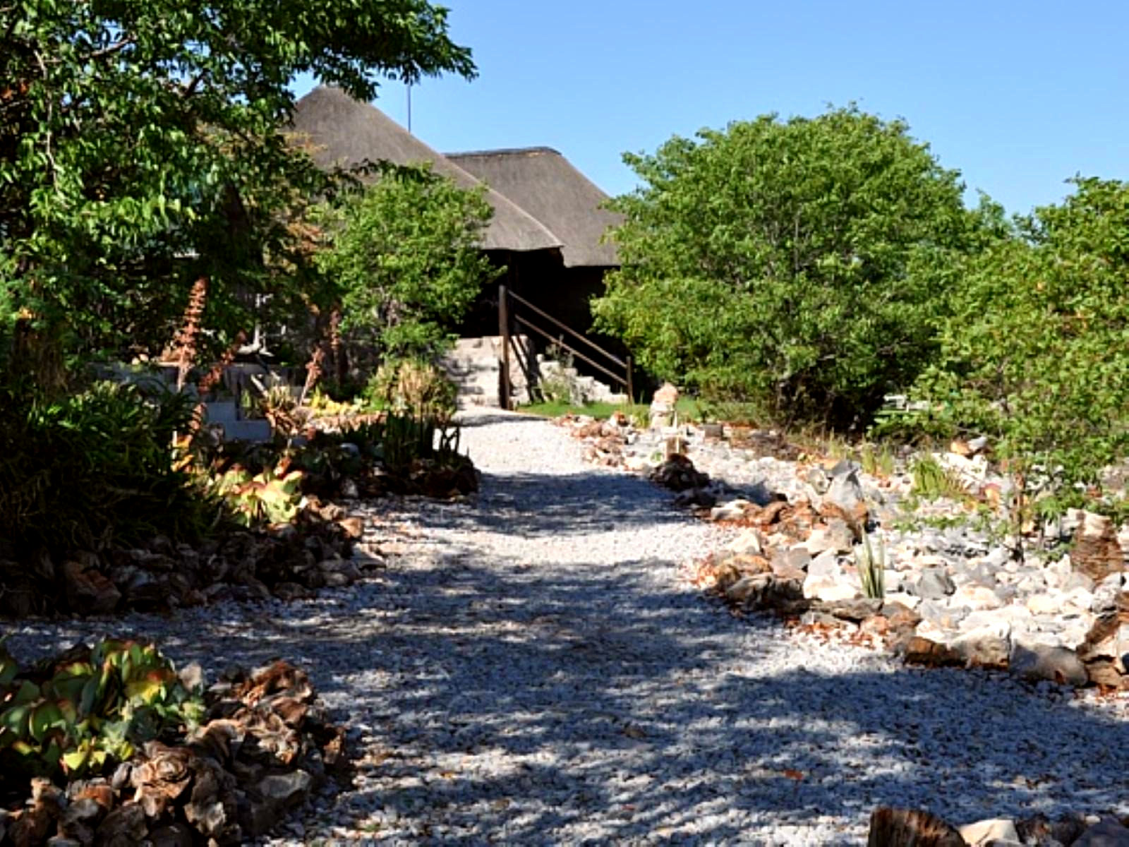 Mondjila Safari Camp gallery