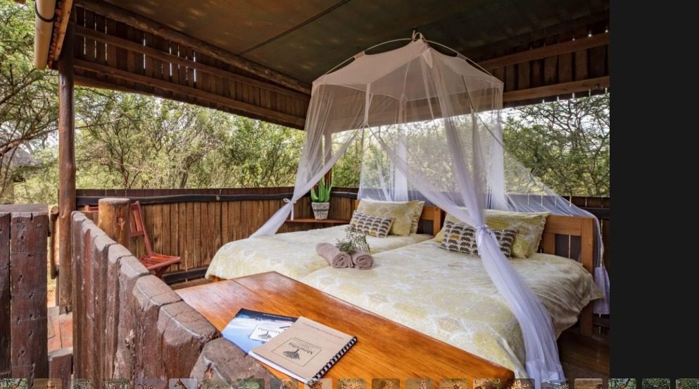 Mosetlha Bush Camp & Eco Lodge