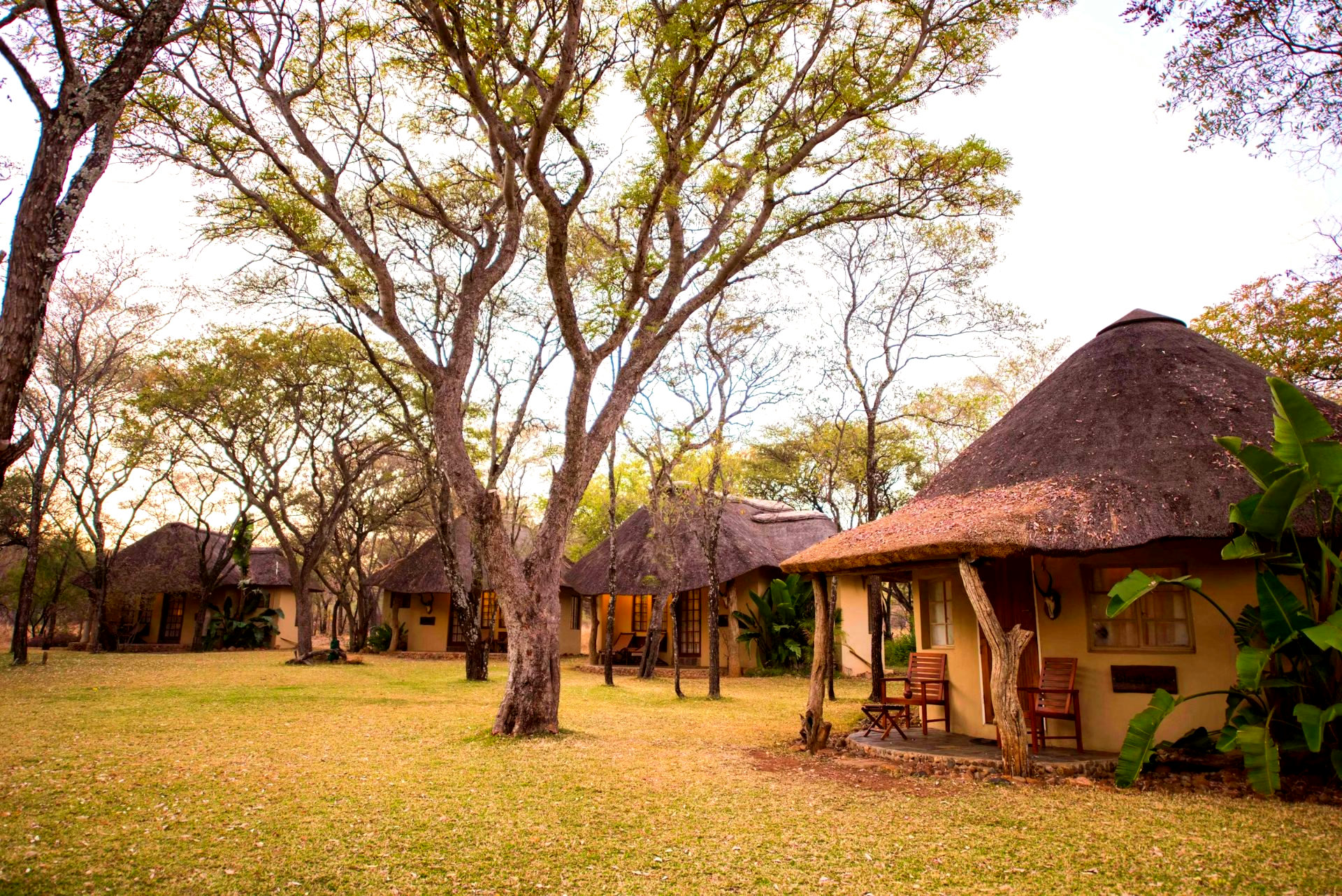 Mziki Safari Lodge gallery