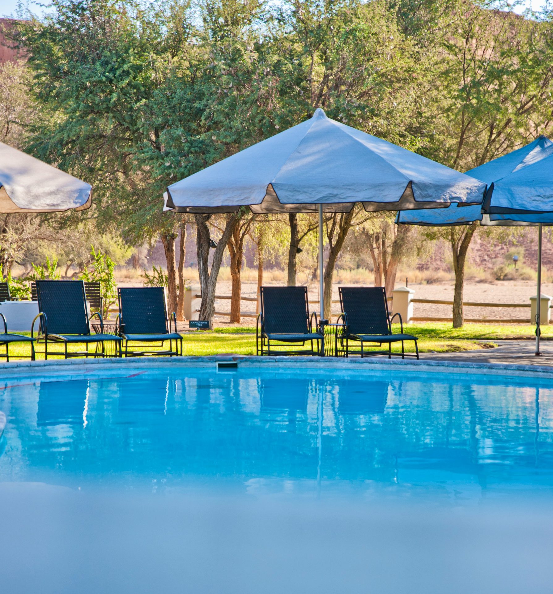 Namib Desert Lodge gallery