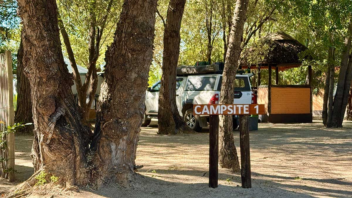 Camp Site 1 - 1