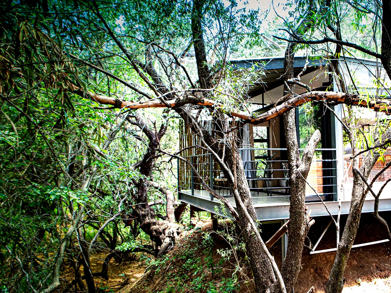 Nehema Manor gallery