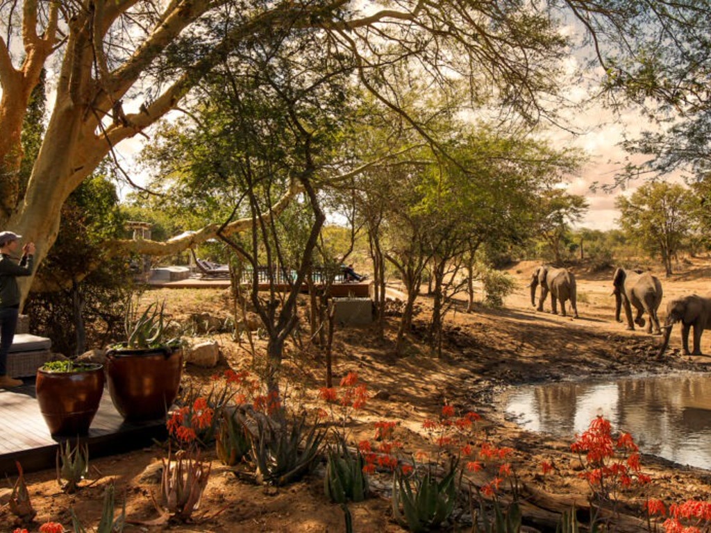 &Beyond Ngala Safari Lodge gallery