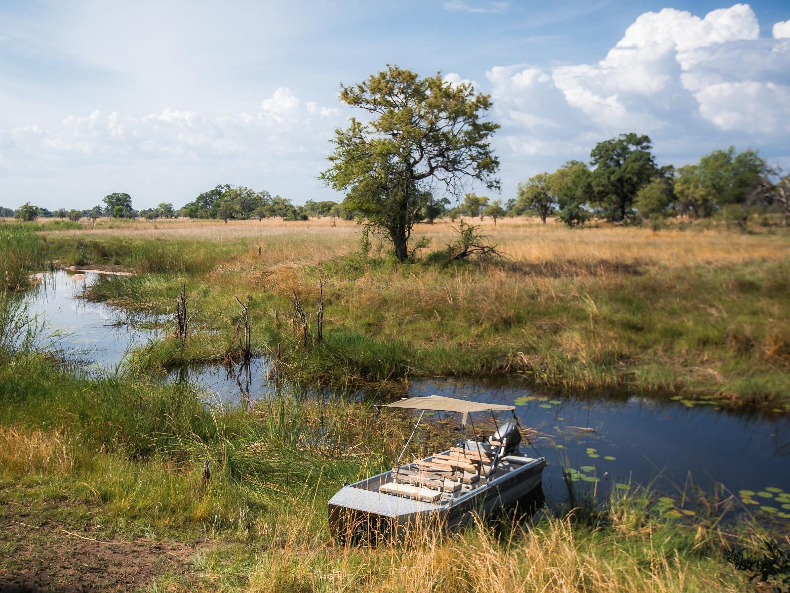 Nkasa Lupala Tented Lodge gallery